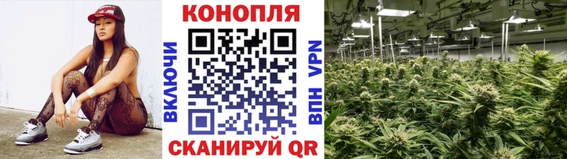 Конопля LSD WEED  omg зеркало  Кологрив  продажа наркотиков 